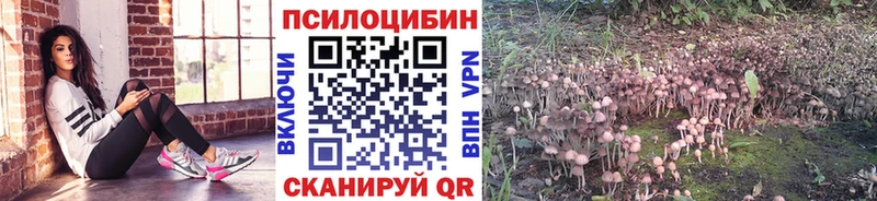 Галлюциногенные грибы Psilocybe магазин продажи наркотиков Полесск